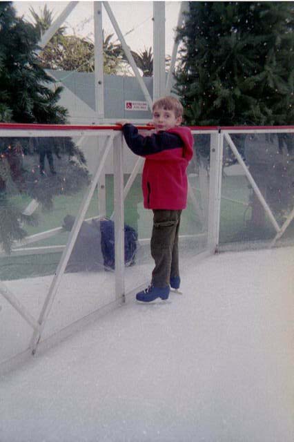 Skate1.jpg (34122 bytes)